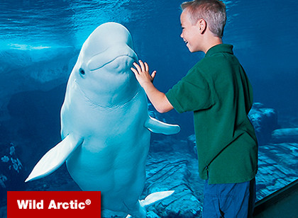 SeaWorld San Diego Kid´s Eat Free Single Day
